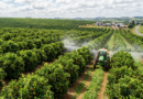 Gulf Oil Brasil segue agenda de eventos no agro