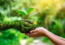 Consciência ecológica rege o comportamento dos ecoturistas