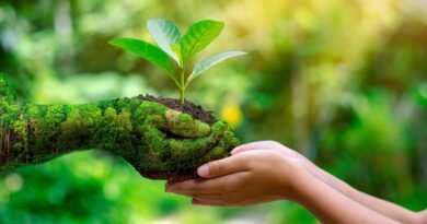 Consciência ecológica rege o comportamento dos ecoturistas