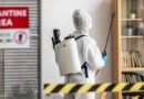 Comércios de São Paulo devem realizar dedetização periódica