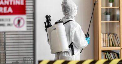 Comércios de São Paulo devem realizar dedetização periódica