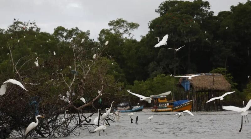 Amazônia Soberana: programa reforça combate ao crime organizado em áreas de fronteira