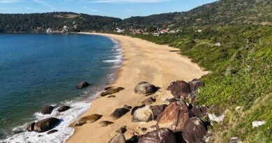 Imóveis na Interpraias devem valorizar até 50% em dois anos