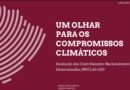 LACLIMA lança relatório sobre metas do G20 rumo a 2035