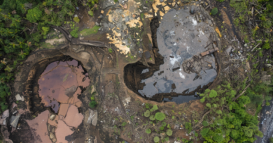 AMIG cobra ação contra mineração ilegal no Brasil