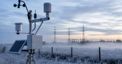 Monitoramento climático ajuda empresas em ondas de frio