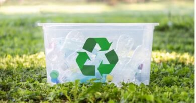Reciclagem permite a economia de energia e recursos naturais