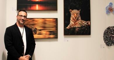 Fine art impulsiona mercado de luxo no Brasil