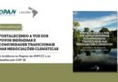 LACLIMA lança relatório sobre povos indígenas pós-COP30