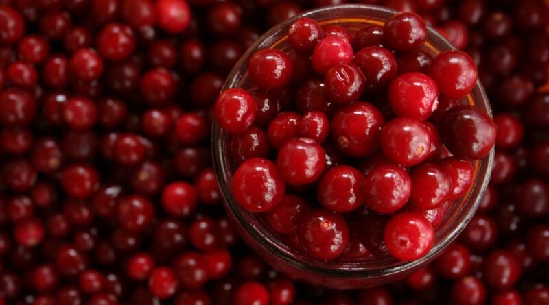 Cranberry ganha espaço como aliado na saúde