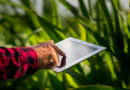 Agro 5.0 impulsiona tecnologia e estratégia no setor