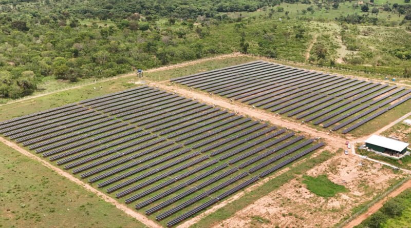 Cresce busca por assinaturas de energia solar no Brasil