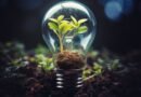 Projeto Conexões em Teias no Energy Summit traz inovação