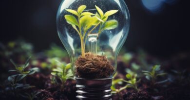 Projeto Conexões em Teias no Energy Summit traz inovação