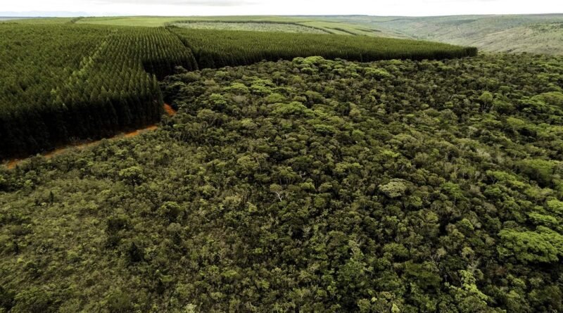 Setores produtivos ampliam ações ambientais em Minas Gerais