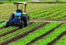 Crédito estruturado apoia mecanização da cafeicultura