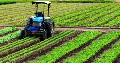 Crédito estruturado apoia mecanização da cafeicultura