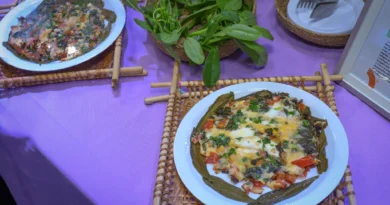 Escolas municipais de Manaus conquistam 1º e 2º lugar em concurso nacional de alimentação escolar