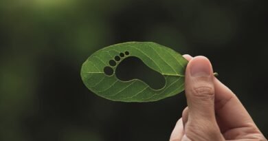 Eficiência Energética com resultados para empresas