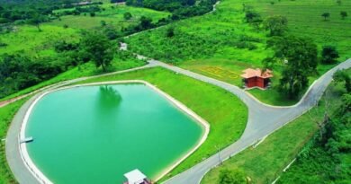 Sustentabilidade transforma indústria farmacêutica