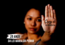 Livro destaca papel dos homens na prevenção da violência