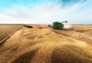 Grupo do agro aprova recuperação judicial com deságio de 85%