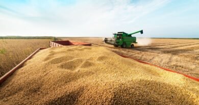 Grupo do agro aprova recuperação judicial com deságio de 85%