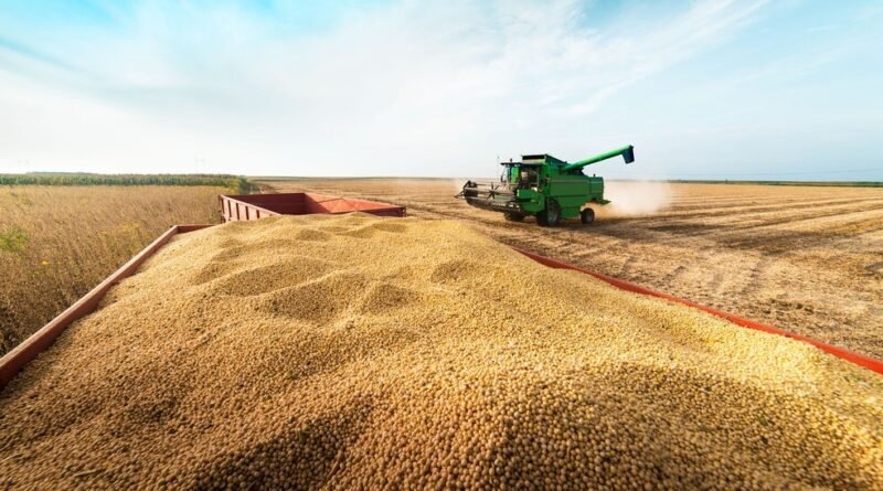 Grupo do agro aprova recuperação judicial com deságio de 85%