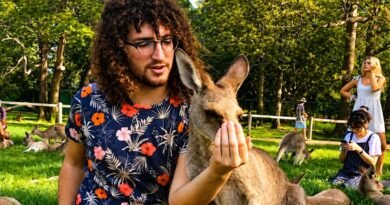 Inglês + voluntariado: experiência que fortalece causas