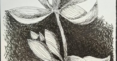 Exposição “UNA”, de Roberto Galvão, reúne obras em Fortaleza