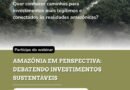 Webinário debate caminhos para investimentos sustentáveis
