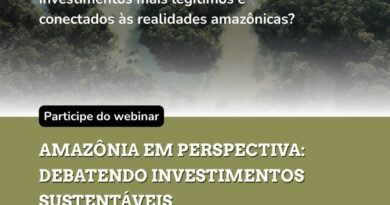 Webinário debate caminhos para investimentos sustentáveis