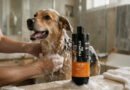 Propelo leva cuidado profissional para banho de pets em casa