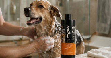 Propelo leva cuidado profissional para banho de pets em casa