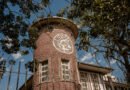 Pesquisa em herbário de SC descobre seis espécies de plantas