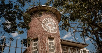 Pesquisa em herbário de SC descobre seis espécies de plantas