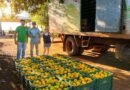 Sidrolândia lidera CeasaMS com a força do pequeno agricultor