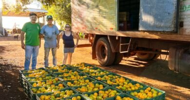 Sidrolândia lidera CeasaMS com a força do pequeno agricultor