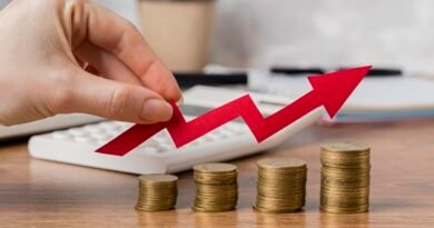 Alocação eleva retorno de carteira em dólar em 2025
