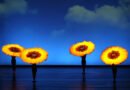 MOMIX apresenta o espetáculo BOTANICA em turnê pelo Brasil