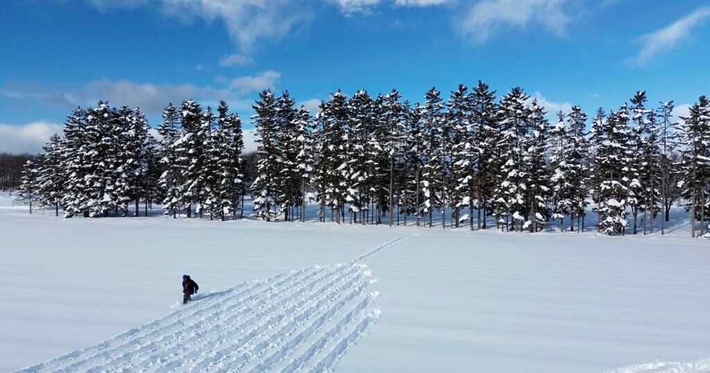 Land Art: artistas transformam natureza em telas