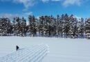 Land Art: artistas transformam natureza em telas