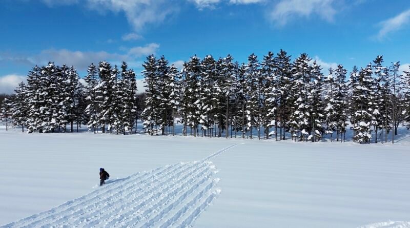 Land Art: artistas transformam natureza em telas