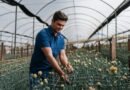 Primavera destaca diversidade no mercado de flores