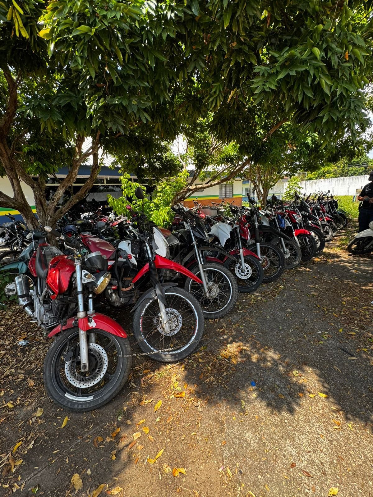 Polícia Civil apreende 47 motos furtadas e prende suspeito no Amazonas