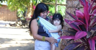 IR se transforma em apoio para 31 mil famílias