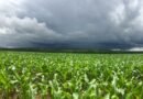 El Niño forte aumenta risco para o agronegócio