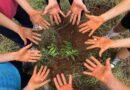 Relatórios de sustentabilidade de escolas ganham relevância