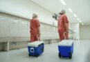 Recusa familiar desafia doação de órgãos no Brasil