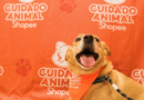 Shopee e Ampara Animal fazem mutirões gratuitos de saúde pet